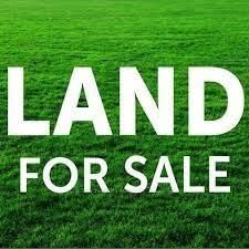 362 Melrose St, Cambridge - 