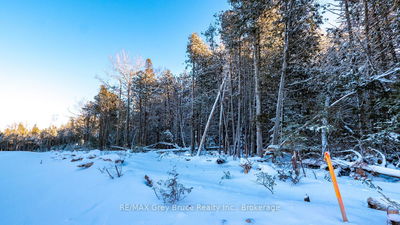 LOT 5 TRILLIUM CROSSING, Northern Bruce Peninsula - Northern Bruce Peninsula image-0-4