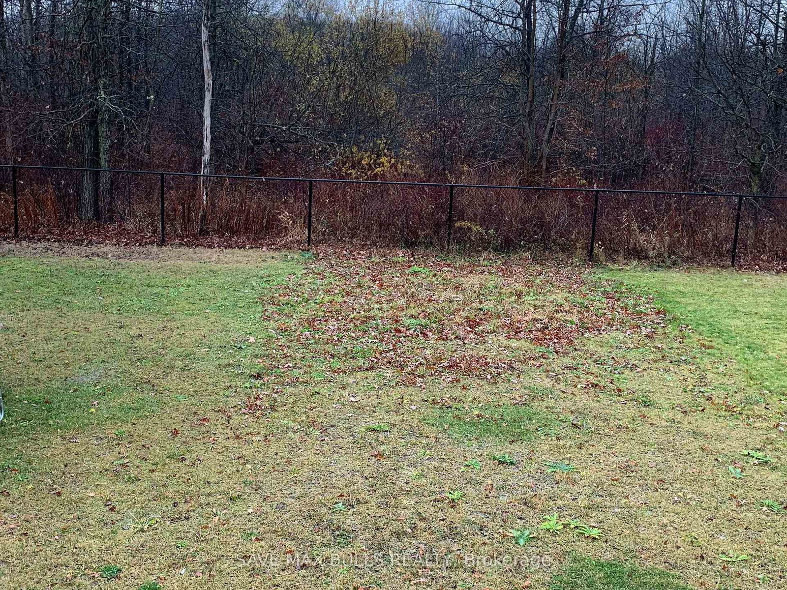 459 Julia Drive - Photo 11