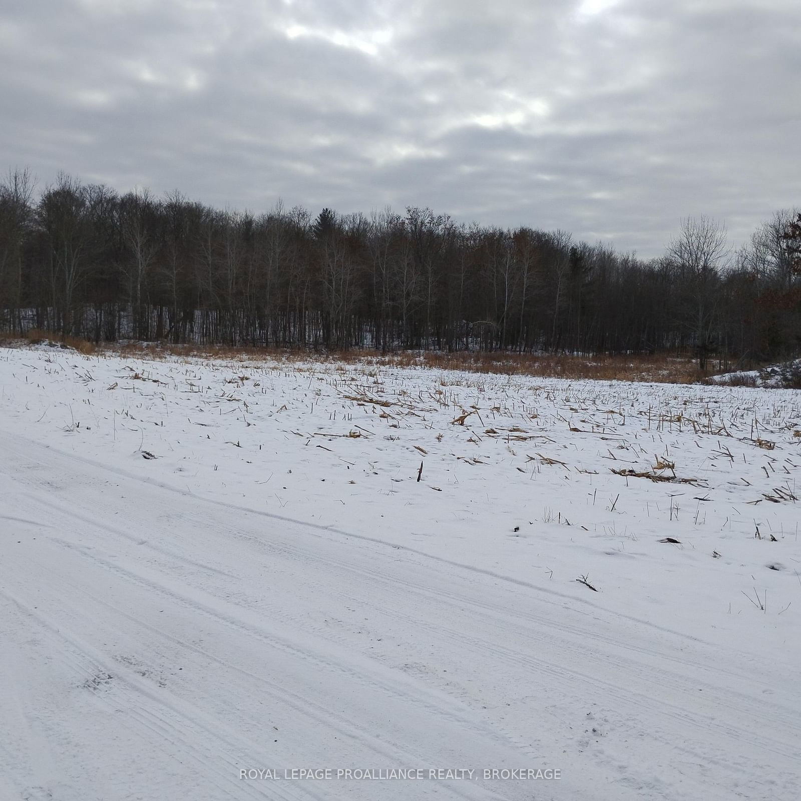 Vacant Land sold at 01083 Hoover Lane, Central Frontenac, Frontenac Centre, K0H 1T0 - MLS: X11909562