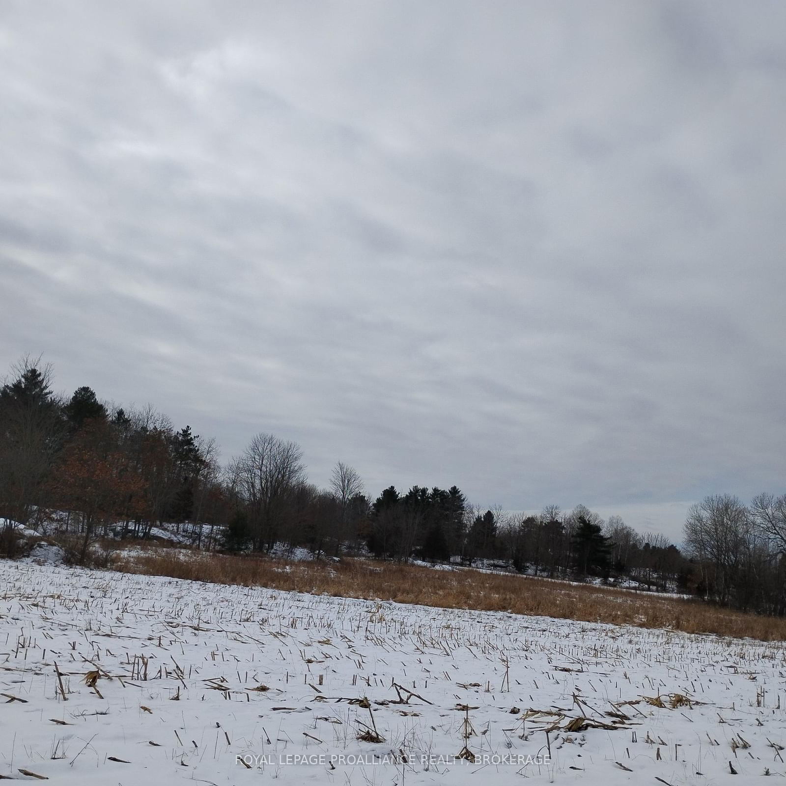 Vacant Land sold at 01083 Hoover Lane, Central Frontenac, Frontenac Centre, K0H 1T0 - MLS: X11909562