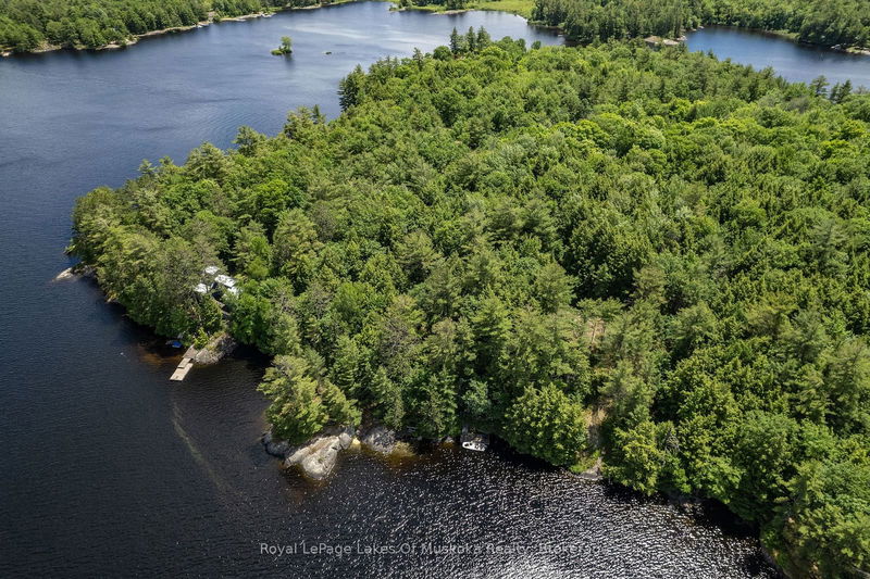 15KL2 KAHSHE, Gravenhurst - Morrison image-0-0