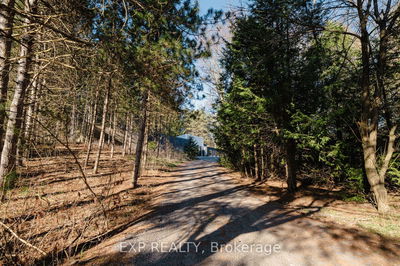 13783 Little Lake Rd, Cramahe - Rural Cramahe image-0-1