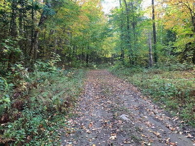  SUGAR BUSH Rd, Magnetawan - Magnetawan