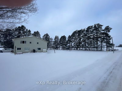 40794 Howick Turnberry Rd, Morris-Turnberry - Turnberry Twp image-0-3