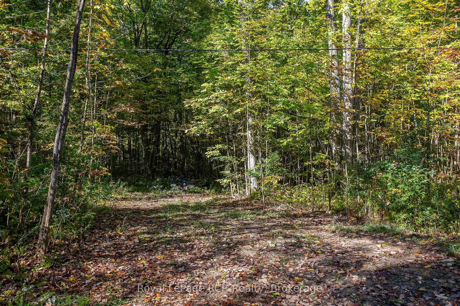 Vacant Land sold at PT LT 2 HINDMAN Sideroad, Georgian Bluffs, Rural Georgian Bluffs, N0H 2K0 - MLS: X11914041