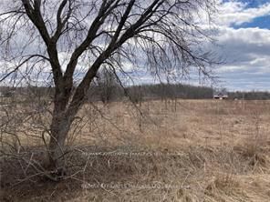 Building at Lot South Branch Road, South Dundas, 703 - South Dundas (Matilda) Twp