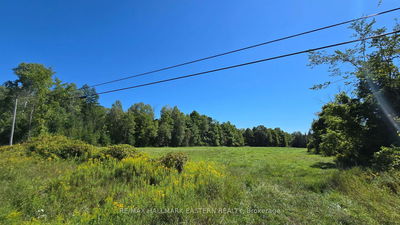 N/A County 48 Rd, Havelock-Belmont-Methuen - Rural Havelock-Belmont-Methuen image-0-4
