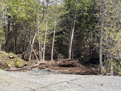 14311 County 15 Rd, Merrickville-Wolford - Merrickville/Wolford Twp image-0-4