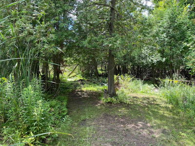 14289 County 15 Rd, Merrickville-Wolford - Merrickville/Wolford Twp image-0-4