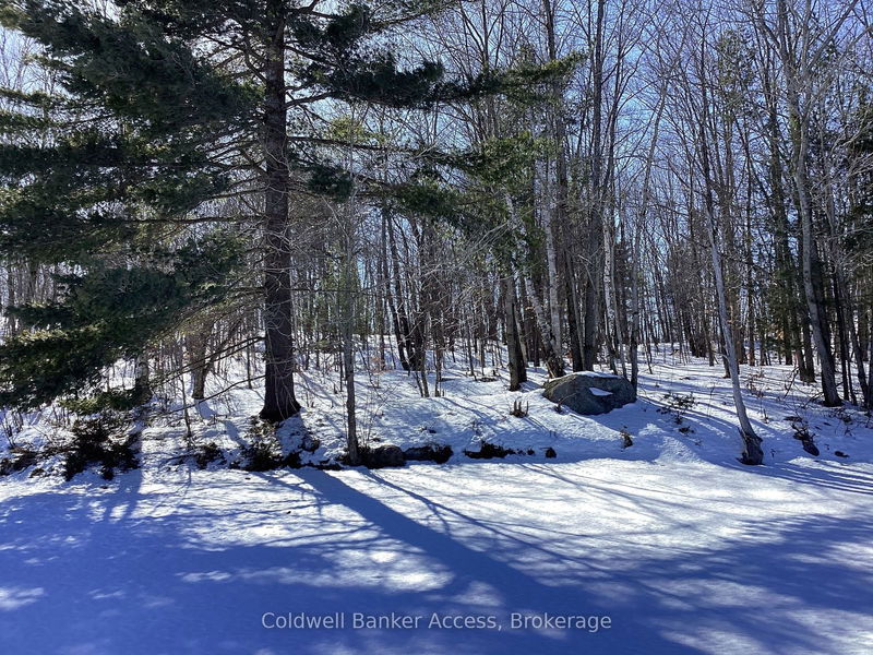 30 Hawkins Point Rd, Georgian Bay - Freeman image-0-0