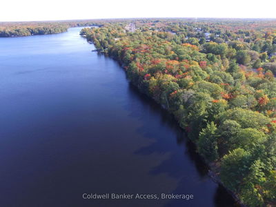 30 Hawkins Point Rd, Georgian Bay - Freeman image-0-3