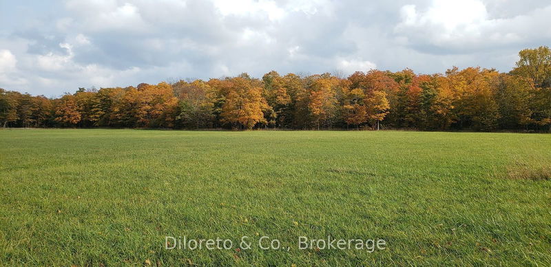 LOT 21 CAPE CHIN NORTH Rd, Northern Bruce Peninsula - Northern Bruce Peninsula image-0-0