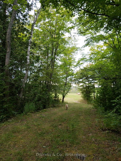 LOT 21 CAPE CHIN NORTH Rd, Northern Bruce Peninsula - Northern Bruce Peninsula image-0-2