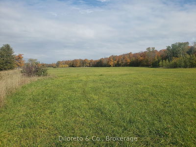 LOT 21 CAPE CHIN NORTH Rd, Northern Bruce Peninsula - Northern Bruce Peninsula image-0-4