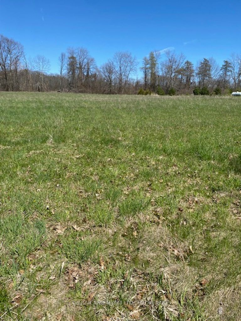 Vacant Land sold at . YOUNGS POINT Road, Prince Edward County, Greater Napanee, K0K 1G0 - MLS: X11918357