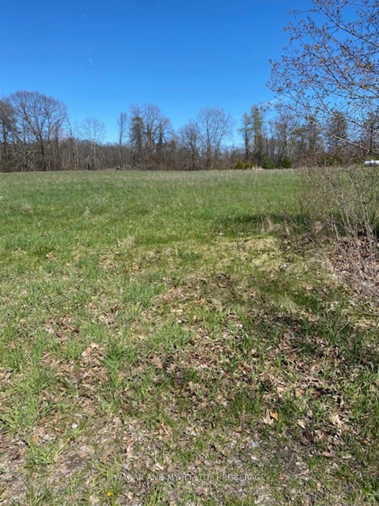 Vacant Land sold at . YOUNGS POINT Road, Prince Edward County, Greater Napanee, K0K 1G0 - MLS: X11918357