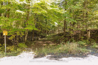 lot 69 25th Line, Algonquin Highlands -  image-0-4