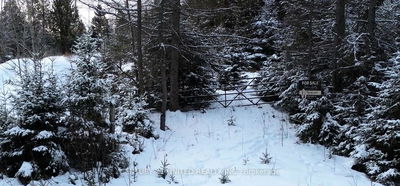  Crawford Rd, Bancroft -  image-0-1