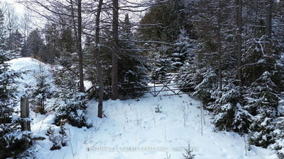  Crawford Rd, Bancroft -  image-0-3