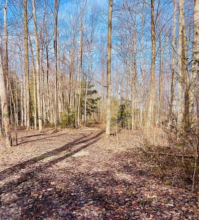 36720 River Rd, Ashfield-Colborne-Wawanosh - Ashfield