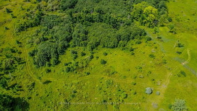 Lot 5 Concession 5, Kawartha Lakes - Rural Carden image-0-2