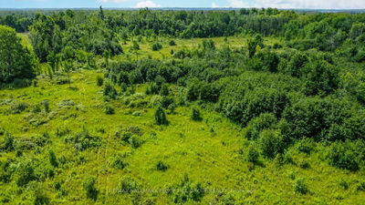 Lot 5 Concession 5, Kawartha Lakes - Rural Carden image-0-3