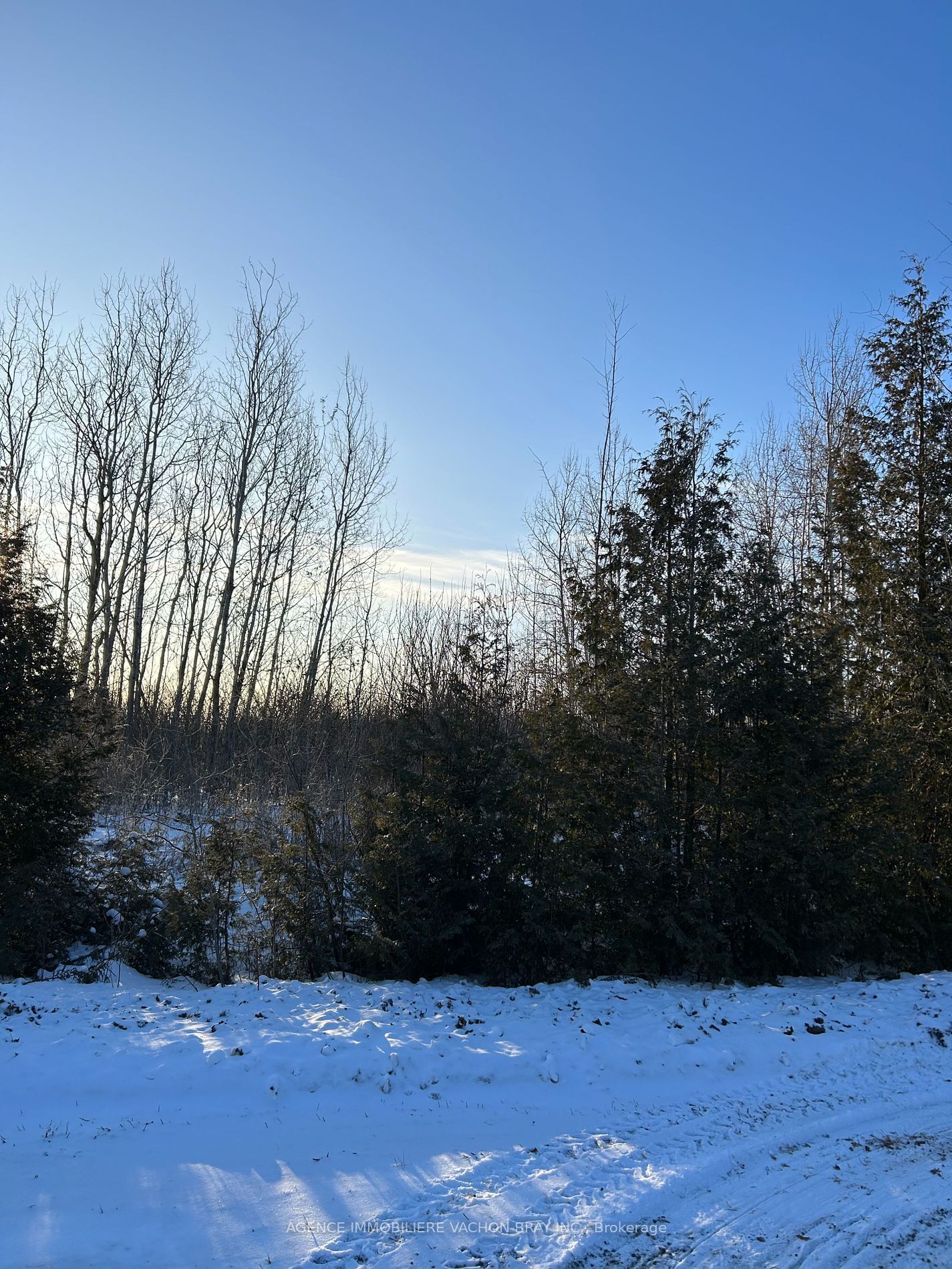 Vacant Land for sale at LOT Lakeside Drive, South Glengarry, 724 - South Glengarry (Lancaster) Twp, K0C 1Z0 - MLS: X11924933