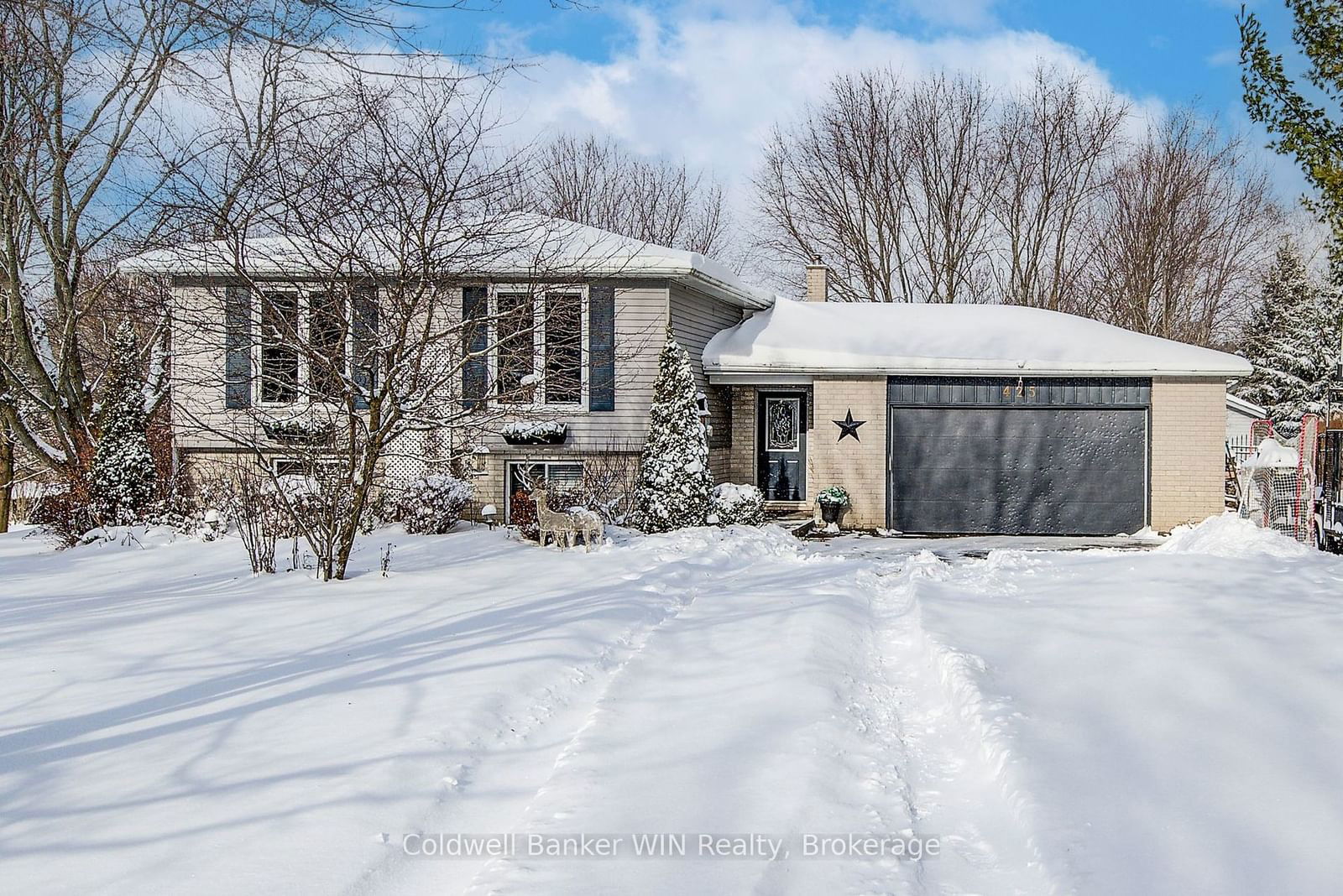 Detached House for sale at 425 Clyde Street, Wellington North, Mount Forest, N0G 2L3 - MLS: X11926545