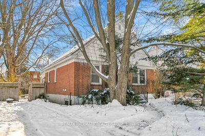 243 Belford Cres, Westboro - Hampton Park - 5003 - Westboro/Hampton Park image-0-1