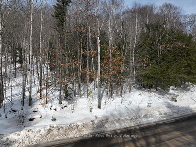  Livingstone Lake Rd, Algonquin Highlands -  image-0-1