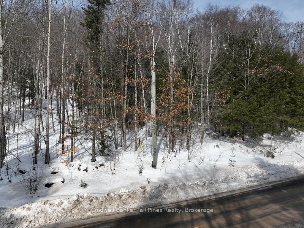 Vacant Land sold at 0 Livingstone Lake Road, Algonquin Highlands, P0A 1E0 - MLS: X11928428