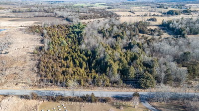  Pine Grove Rd, Greater Napanee - Greater Napanee image-0-3