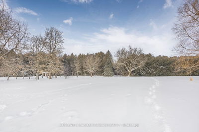 625506 Sideroad 15, Melancthon - Rural Melancthon image-0-3