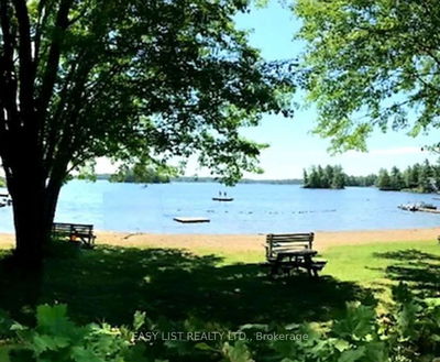 Lot 137 Beech Road Allowance, Gravenhurst -  image-0-3