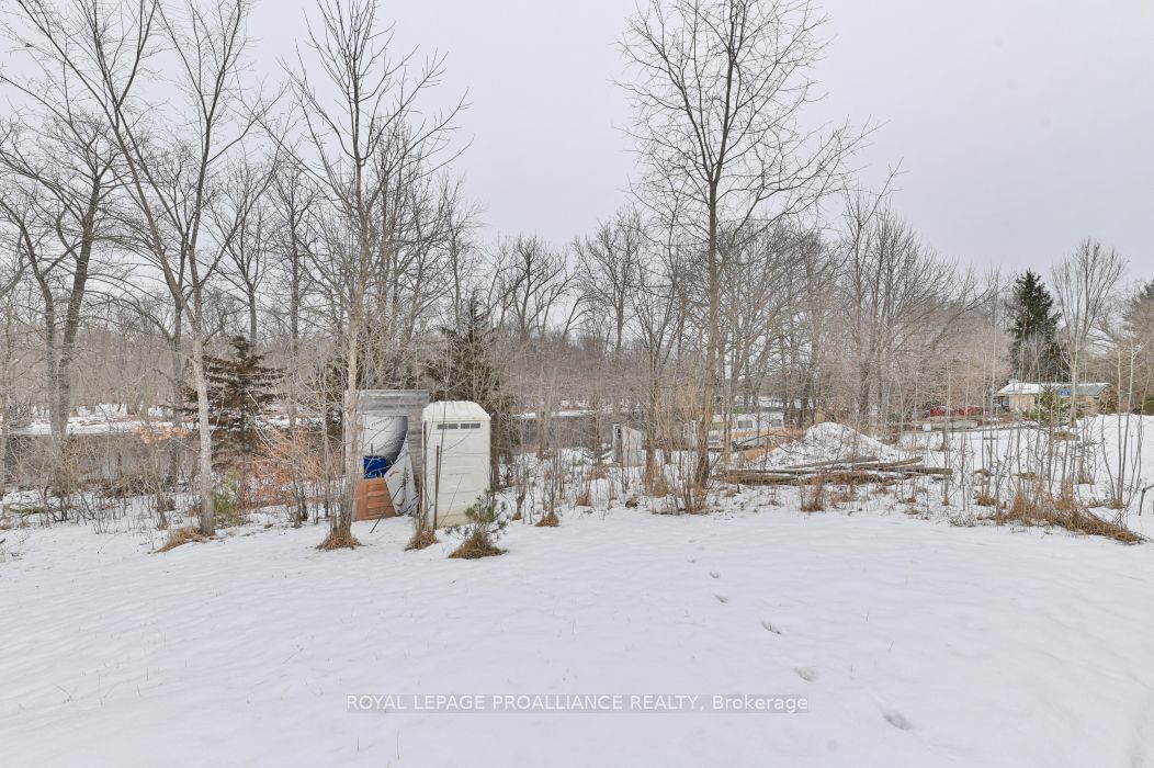 Vacant Land for sale at 60 Birch Lane, Tweed, K0K 3J0 - MLS: X11933705