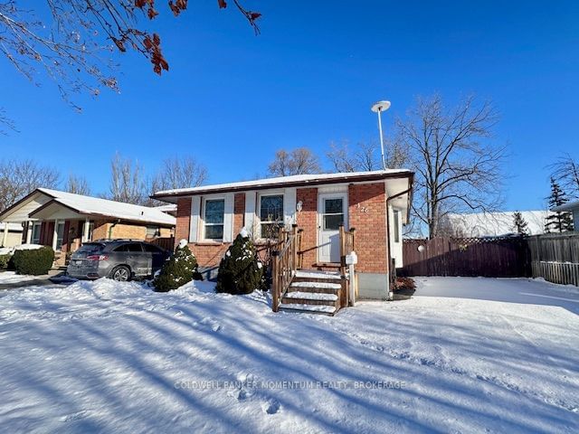 Detached House for lease at Upper-126 Elma Street, St. Catharines, 443 - Lakeport, L2N 6A2 - MLS: X11935254