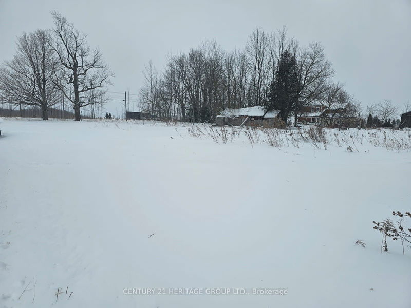 682363 260 Side Rd, Melancthon - Rural Melancthon image-0-0