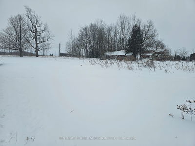 682363 260 Side Rd, Melancthon - Rural Melancthon