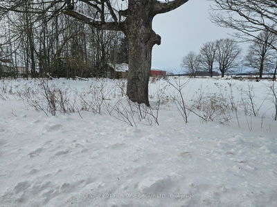 682363 260 Side Rd, Melancthon - Rural Melancthon image-0-2