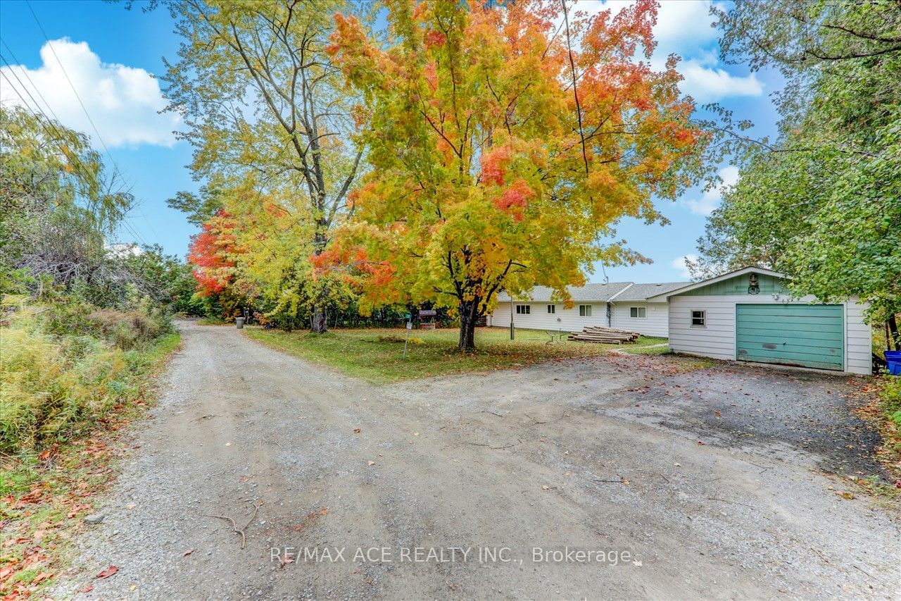 Detached House for sale at 28 Osprey Road, Kawartha Lakes, Rural Emily, K9V 4R5 - MLS: X11942602