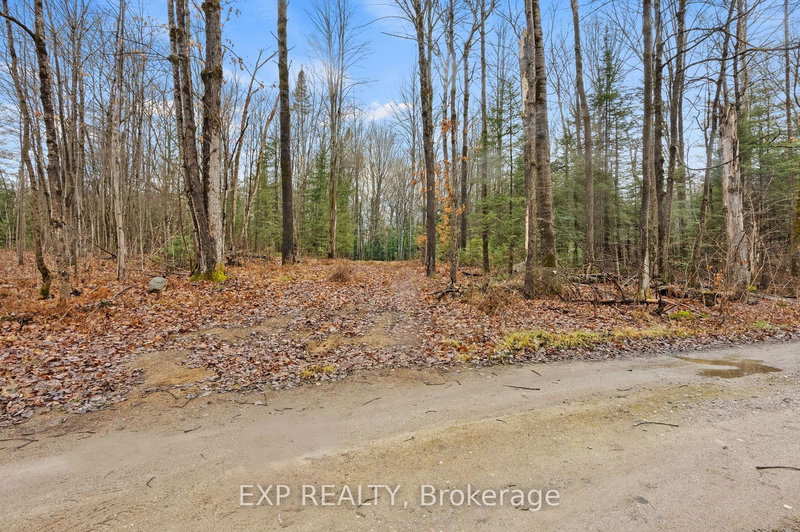 0 Gelert Rd, Minden Hills, K0M 2K0 | Image 3