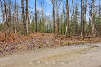  Gelert Rd, Minden Hills - Snowdon image-0-2