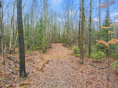  Gelert Rd, Minden Hills - Snowdon image-0-3