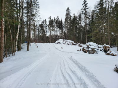 356 HUNT Line, Powassan - Powassan image-0-2