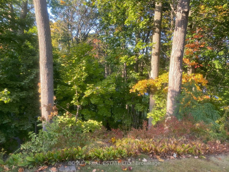 28 Sherbourne St, Port Hope, L1A 1H2 | Image 2