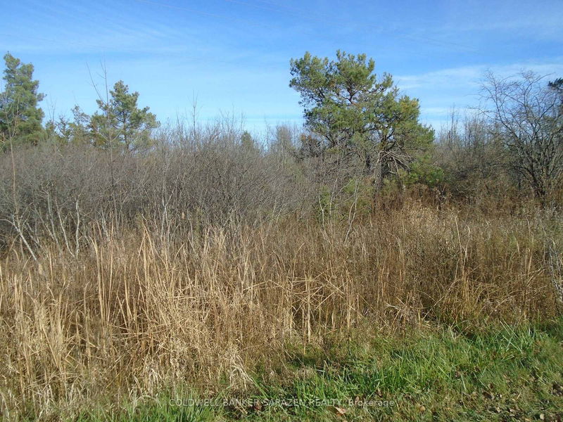 1-49 Rideau Ave, Smiths Falls - Smiths Falls image-0-0