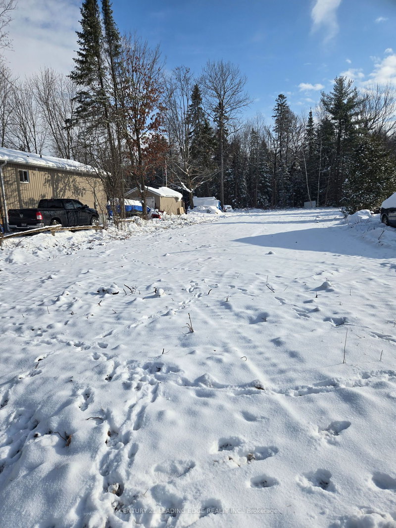 77 Antiquary Beach Rd N, Kawartha Lakes, K0M 2B0 | Image 2