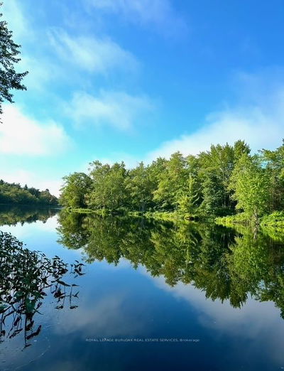 629 Bowen Rd, Havelock-Belmont-Methuen - Havelock image-0-1