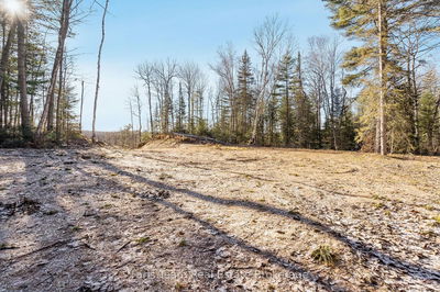 188 River Rd, Sundridge - Sundridge image-0-4